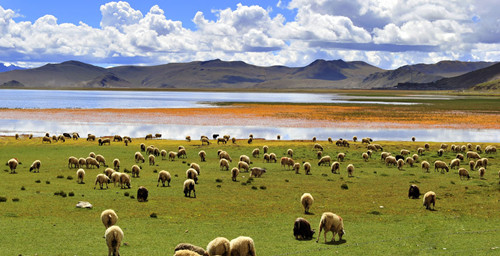 青海湖、拉薩、日喀則行程(7天6晚游)